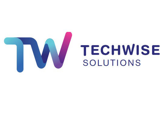 TechWise Solutions